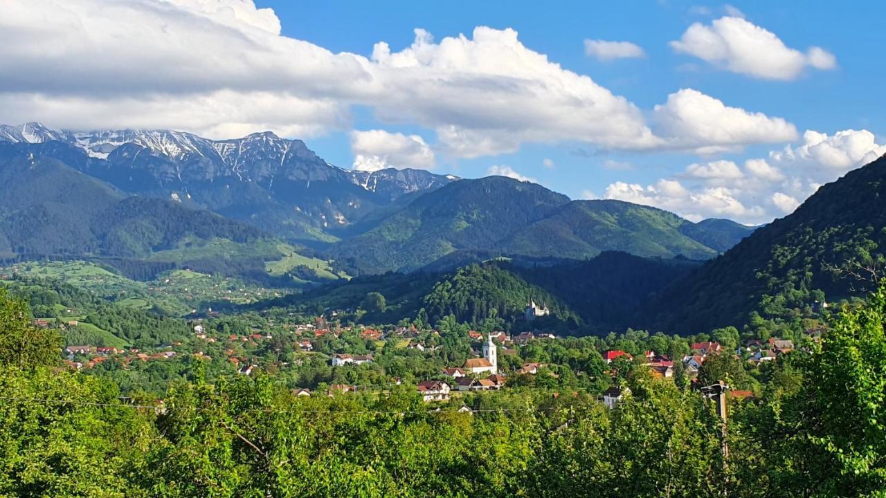 Вилла Bran Hill Экстерьер фото